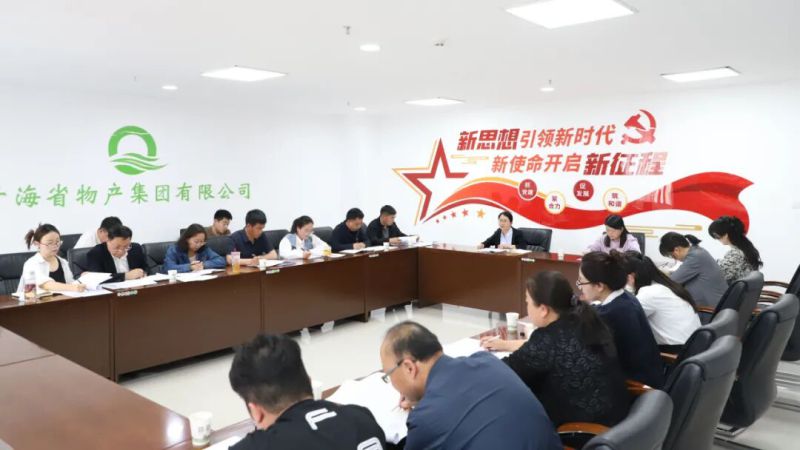 集團(tuán)紀(jì)委召開&ldquo;三化&rdquo;建設(shè)年行動(dòng)工作推進(jìn)會