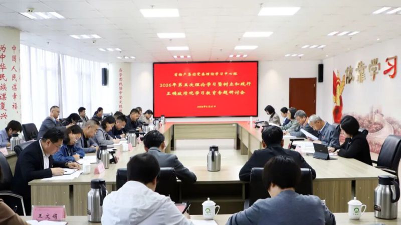 集團(tuán)黨委理論學(xué)習(xí)中心組召開專題研討會