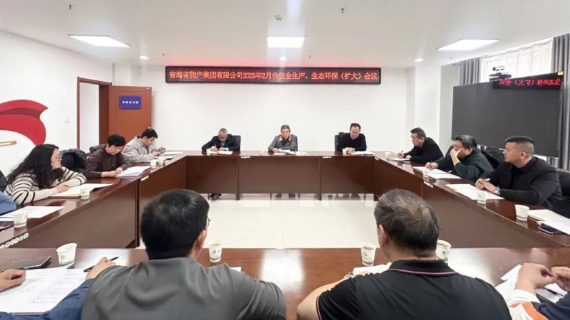 集團召開2025年2月份安全生產、生態(tài)環(huán)保（擴大）會議